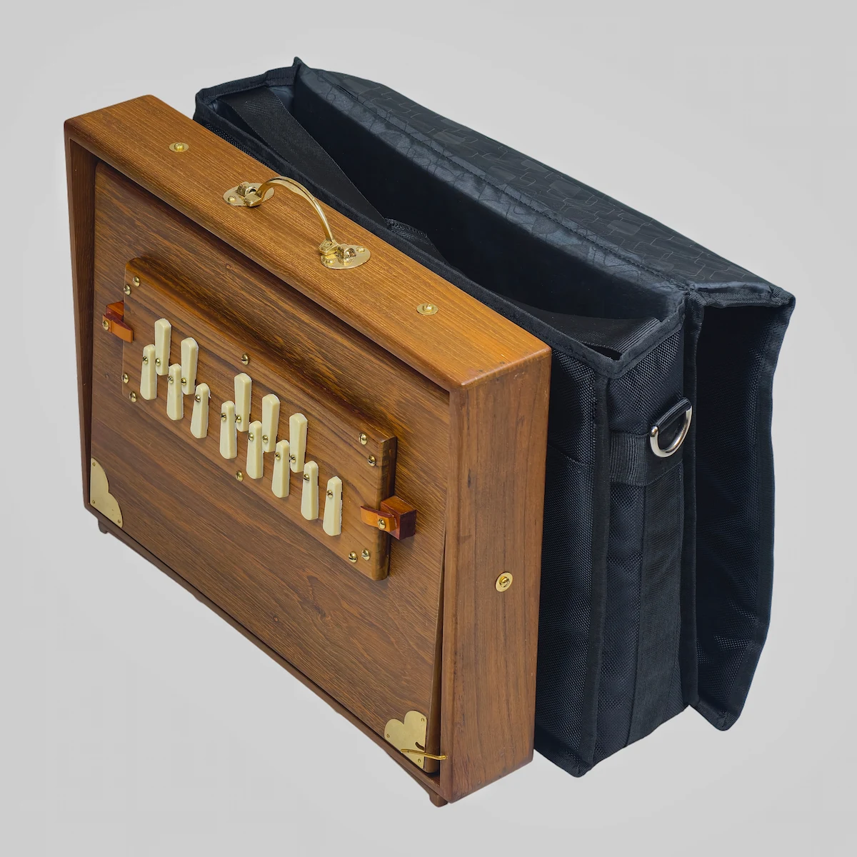 Premium 13-note shruti box standing upright next to a heavy-duty padded travel bag
