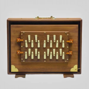 Close-up of the 13 white tuning keys on a 2-octave Indian wooden Shruti Box