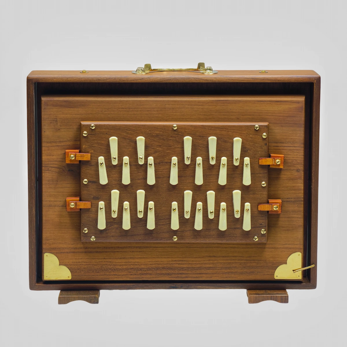 Close-up of the 13 white tuning keys on a 2-octave Indian wooden Shruti Box